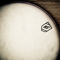 WS Drumheads Vintage 10"