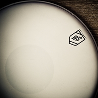 WS Drumheads Classic Dot 13"